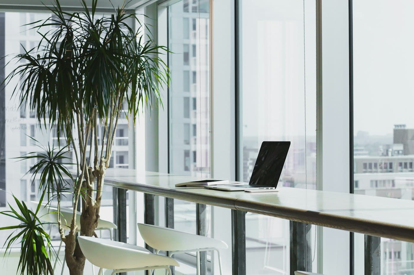 A laptop on a long desk beside a tall window and a plant